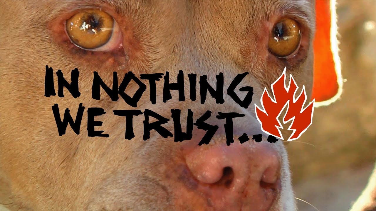 Black Label Skateboards // “IN NOTHING WE TRUST” (2025)